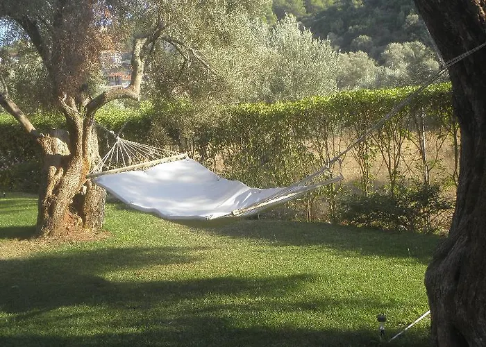 Ionian Breeze Frinion