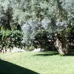 Ionian Breeze Appartamento *