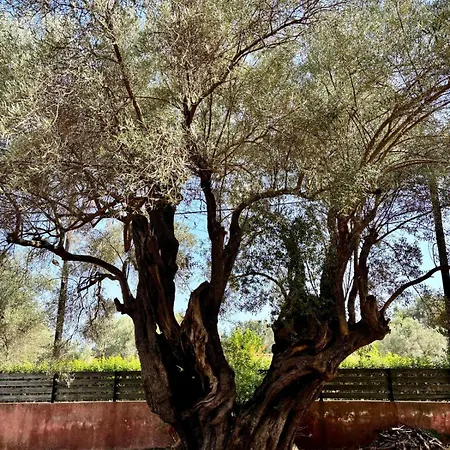 Ionian Breeze *