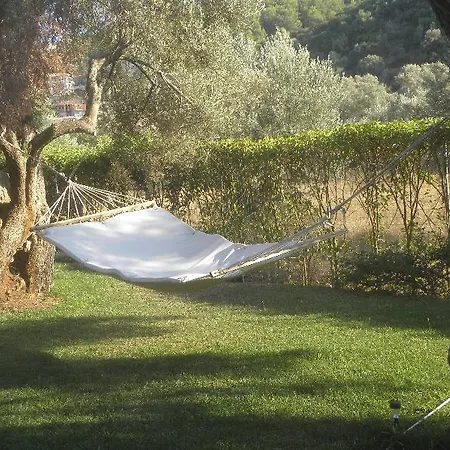 Ionian Breeze Frinion
